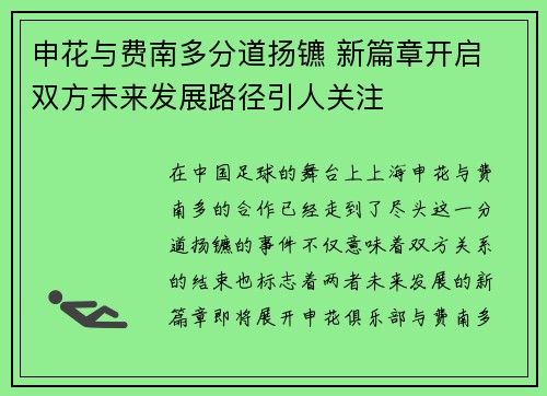 申花与费南多分道扬镳 新篇章开启 双方未来发展路径引人关注